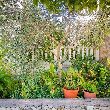 טרוגיר Cheap Apartment Tanja מראה חיצוני תמונה