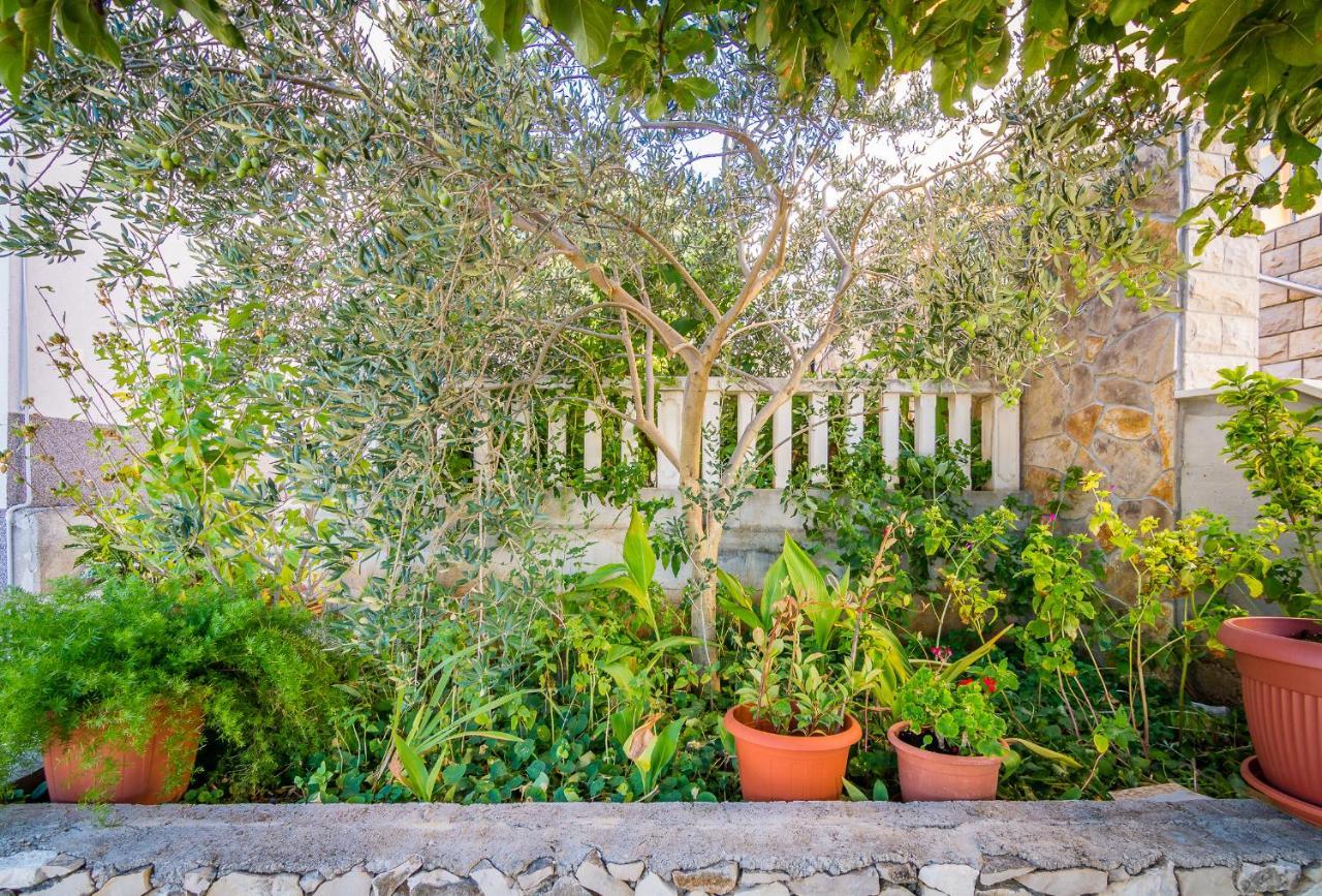 טרוגיר Cheap Apartment Tanja מראה חיצוני תמונה